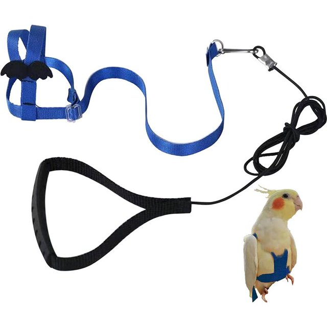 Arnés ajustable para loros, correa para mascotas, cuerda antimordida, correa elástica para pájaros, loros, cacatúas, guacamayos