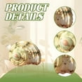 thumbnail image 3 of ACDANC Hermit Crab Shells,Ocean Inspired Ornaments Beach Decorations for Home,Detailed Figurines Hermit Crab,Style4,1.57*0.79*1.97in, 3 of 7
