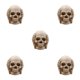 thumbnail image 1 of Calavera resplandeciente de Halloween Naiovety, 1 of 6