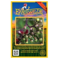 Everwilde Farms - 2000 Late Figwort Native Wildflower Seeds - Gold Vault Seed Packet