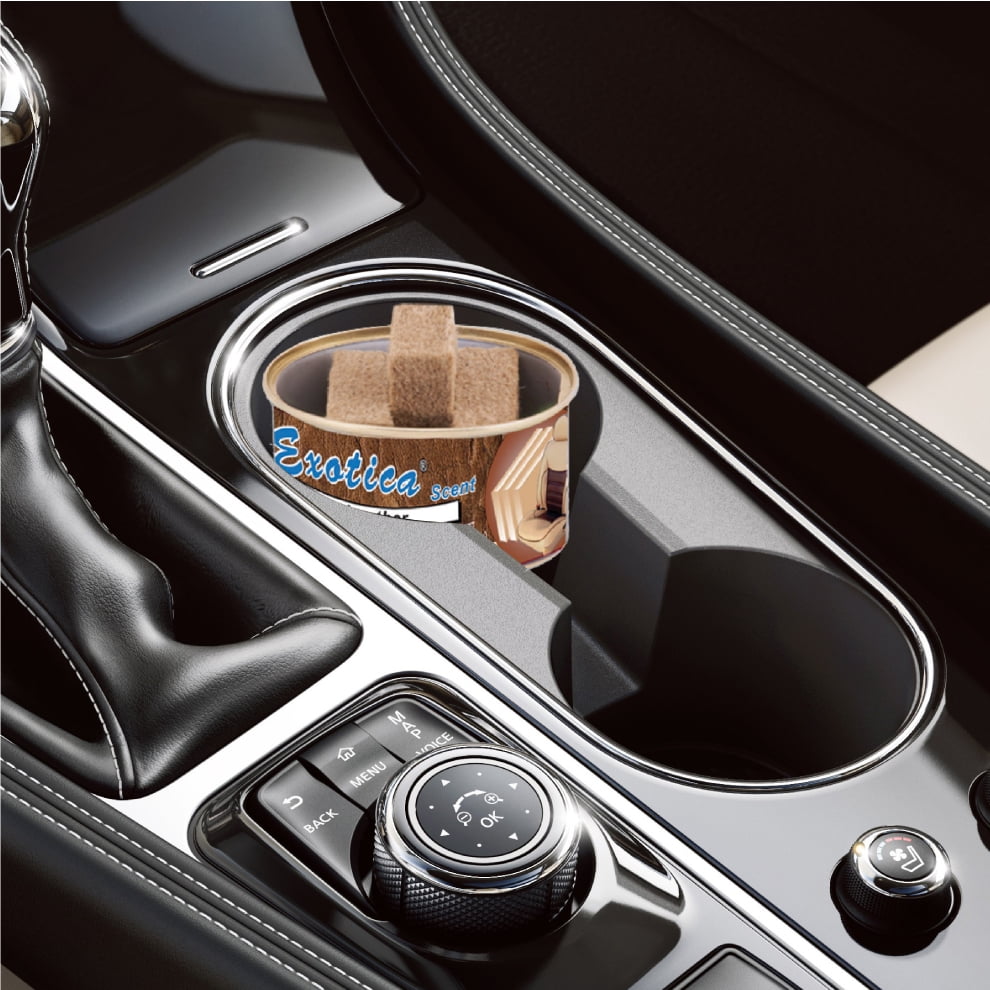 Exotica Car Air Freshener | Spill-proof Can | Organic | For Home & Auto | Long Lasting Freshness | (Pack of 12) (Leather)