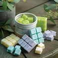 thumbnail image 5 of Escape to Paradise 2.5oz Wax Melt (Pack of 4), 5 of 5