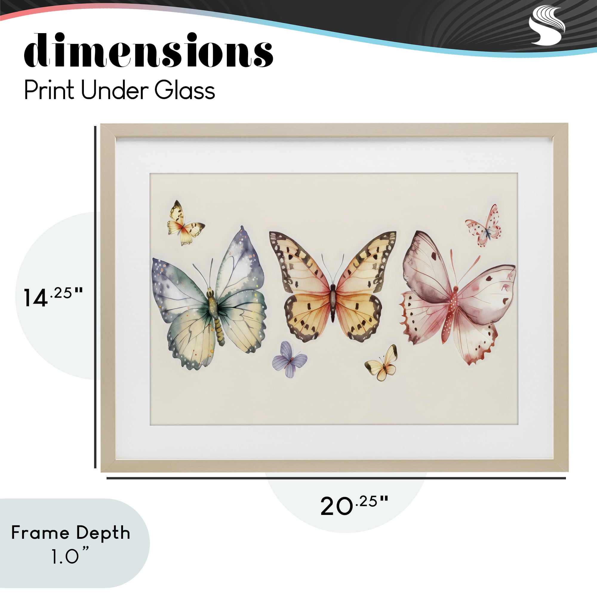 Stupell Industries Graceful Butterfly Trio Birch Framed Print Under Glass, design by Creative Studio