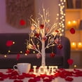 thumbnail image 1 of Árbol de Abedul Iluminado con 18 Corazones LED Rosados y Temporizador, Decoración de San Valentín de 24 Pulgadas, 1 of 6