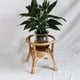 thumbnail image 5 of Estante de soporte de planta de ratán Natural soportes de plantas decorativas para jardín de plantas de interior al BLESIY estante de pie, 5 of 8