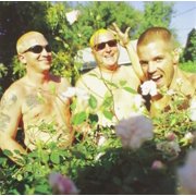 Sublime - Gold - Music & Performance - CD