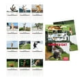 thumbnail image 6 of dajkiuy 2026 Cat Calendar, January 2026 - December 2026, 8x11 Inch 12 Monthly Cat Themed Calendar, New Year Christmas Gifts for Cat Lovers, 6 of 8