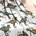thumbnail image 3 of Cartoon Dinosaurs Names Pattern Blanket,Comfortable Soft Lamb Wool Throw Blanket,All Season,Warm Lightweight Blankets for Sofa Bed Couch Living Room Chair,30"x40", 3 of 4