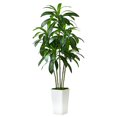 thumbnail image 1 of Árbol de dracaena artificial FSOHOI con maceta alta blanca de 5 pies, 1 of 6