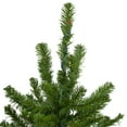thumbnail image 4 of Northlight Pre-Lit Medium Alpine Artificial Christmas Tree - 3' - Multi Lights, 4 of 8