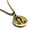 Gold, variant on Stainless Steel Leo Zodiac Sign (Lion) Round Medallion Pendant Necklace