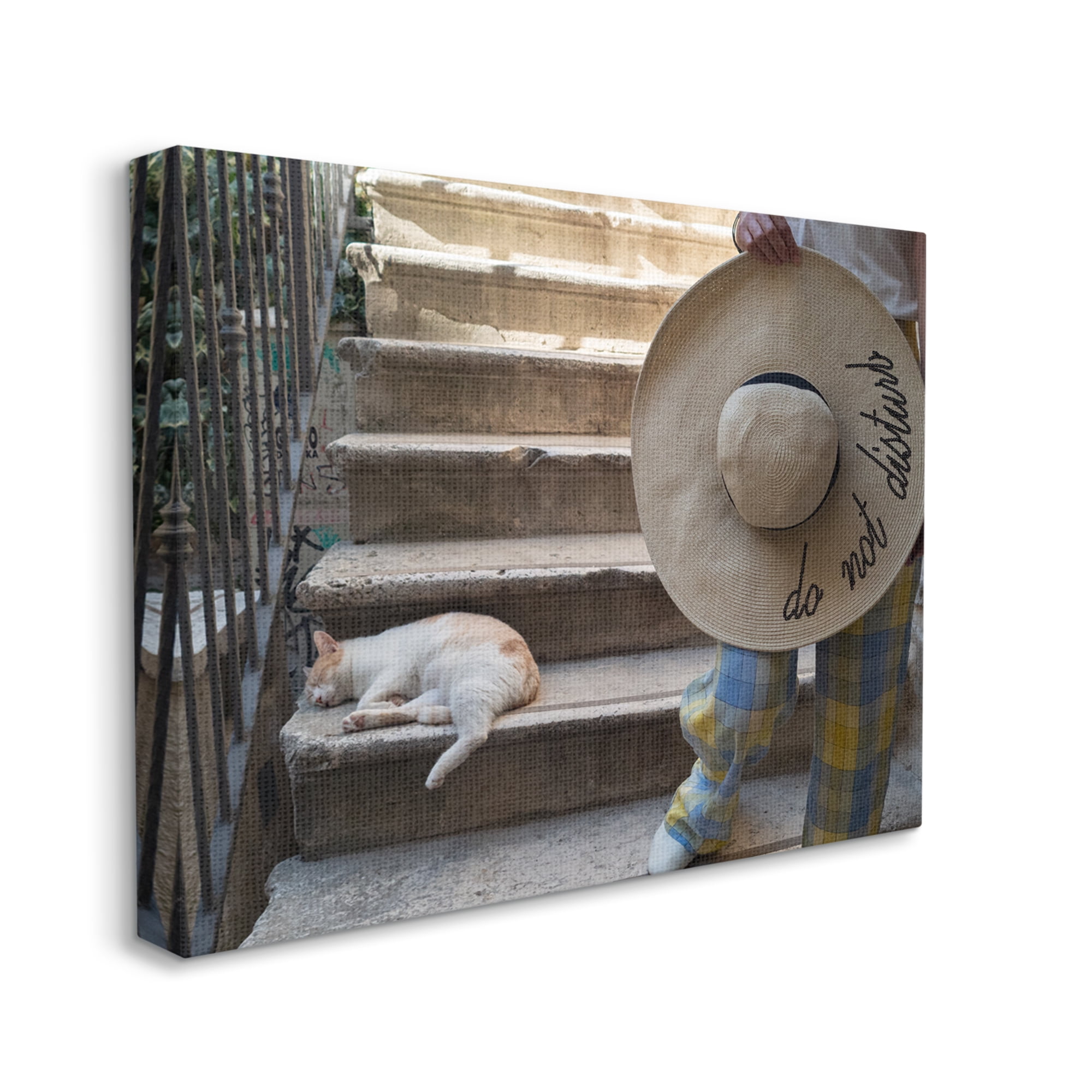 Stupell Industries Do Not Disturb Cat Animals & Insects Photography Gallery Wrapped Canvas Art Print Wall Art, 20 x 16