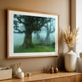 thumbnail image 5 of The Valley of Lost Souls - Fanal Laurel Forest of Madeira Island 2 - Madeira Portugal Photography Unframed Wall Art Print 5 x 7 inches, 5 of 7