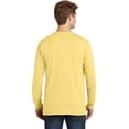 thumbnail image 2 of Port & Company Meridian Cotton Blend Polo (PC099LS) Popcorn, S, 2 of 6