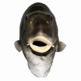 thumbnail image 1 of Black Fish Mask Latex Animal Head Mask Gray Fish Costume Headwear Masquerade Party Adult, 1 of 4