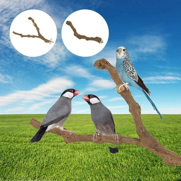 1 Pièce Perchoirs Naturels pour Oiseaux, Supports De Branche