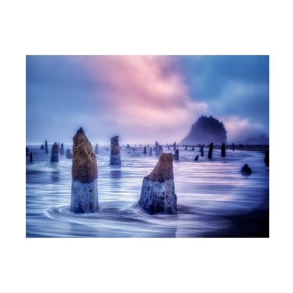 Dennis Frates 'The Ghost Forest 1' Canvas Art