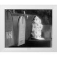 thumbnail image 3 of Scott Larson 14x12 White Modern Wood Framed Wall Art Titled - Special Delivery I, 3 of 5