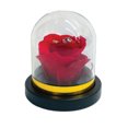thumbnail image 2 of PRESERVED ROSES IN A MINI ROSE DOME DIAMOND INSIDE, 2 of 7