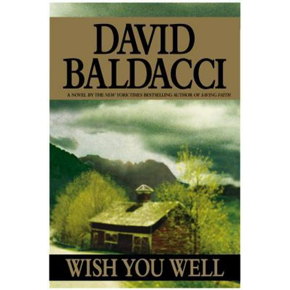 Pre-Owned Wish You Well (Hardcover) by David Baldacci