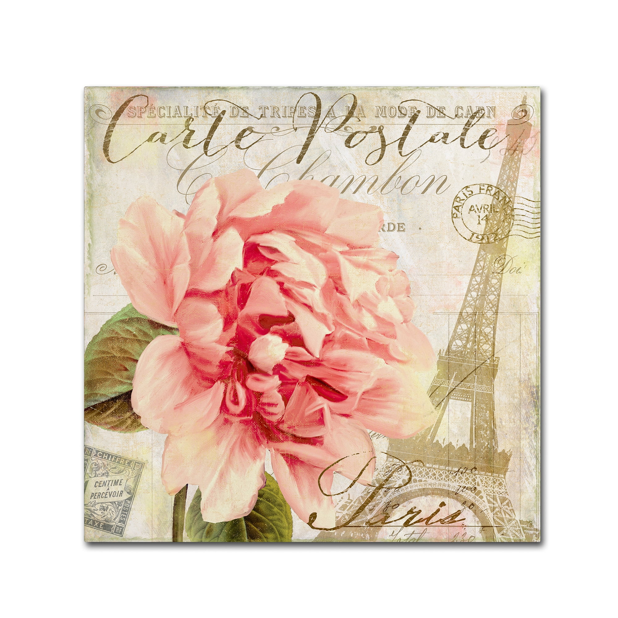 Trademark Fine Art Floral Canvas Art ' Bonjour One ' by Color Bakery