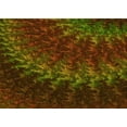 thumbnail image 1 of Ahgly Company Machine Washable Indoor Rectangle Transitional Dark Yellow Green Area Rugs, 5' x 8', 1 of 7