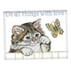 thumbnail image 3 of Kits de bordado de bricolaje de punto de cruz contado, kits de costura hechos a mano, patrón de gato para principiantes adultos, arte, artesanía, deco 14CT Soledad Kits de punto de cruz estampado, 3 of 9