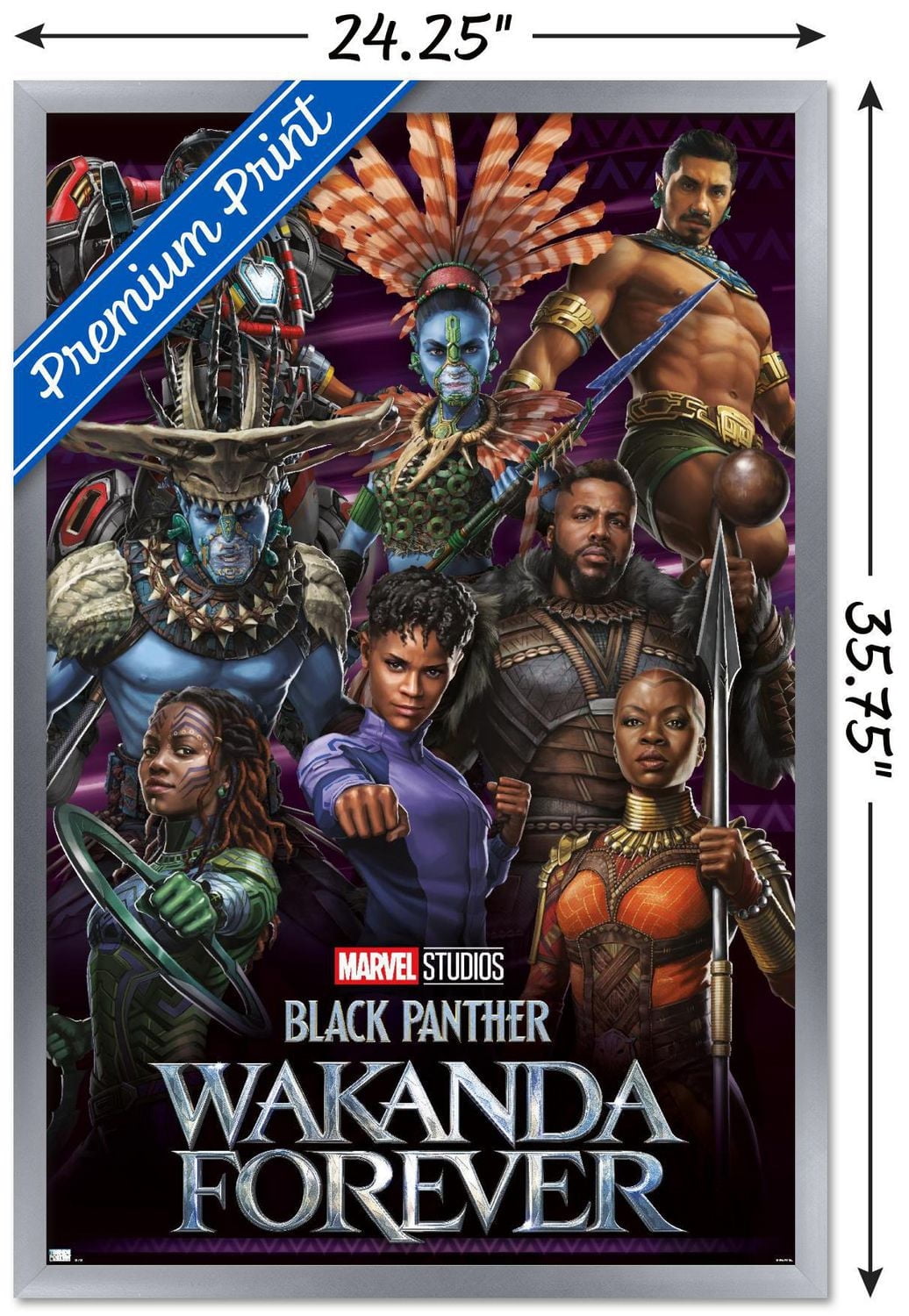 Marvel Black Panther : Wakanda Forever