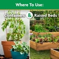 thumbnail image 3 of Miracle-Gro Water Soluble Tomato Plant Food, 3 lbs., 3 of 7
