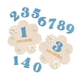 thumbnail image 2 of HILABEE Baby Monthly Milestone Cards Sign Gift Keepsake Memories Unique Double Sided Blue, 2 of 9