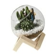 thumbnail image 2 of DOLITY Glass Flower Pot Horticultural Cute Small Flower Pot for Office Balcony Yard 10cm, 2 of 9