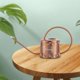 thumbnail image 3 of Stainess Steel 1.3L Regadera Impresión interior Boquilla delgada Riego Bonsai Plantas suculentas pequeñas Plantas de interior Hierbas para Bronce DYNWAVEMX regadera de caño largo, 3 of 8