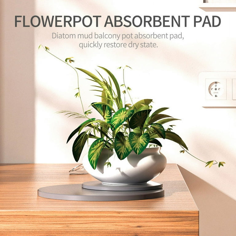 Plant Saucer-Quick Drying Diatomaceous Earth Stone, Absorbent Plant Tray,  Round Flower Pot Saucers for Indoor Outdoor Use  Keep Counter Clean and  Dry,12 Inch, Gray - Walmart.com