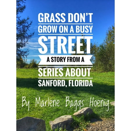Grass Don't Grow On A Busy Street: A short story from my hometown of Sanford, Florida Series -