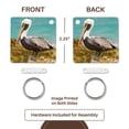 thumbnail image 5 of 3dRose, Mexico, Caribbean. Pelecanus occidentalis, male Brown pelican., set of 2 Key Chains, 5 of 7