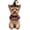 Pumpkin, variant on Halloween Pet Costume Set - Woven Witch Hat & Adjustable Collar for Cats, Small Dogs, Festive Pumpkin & Ghost Outfit