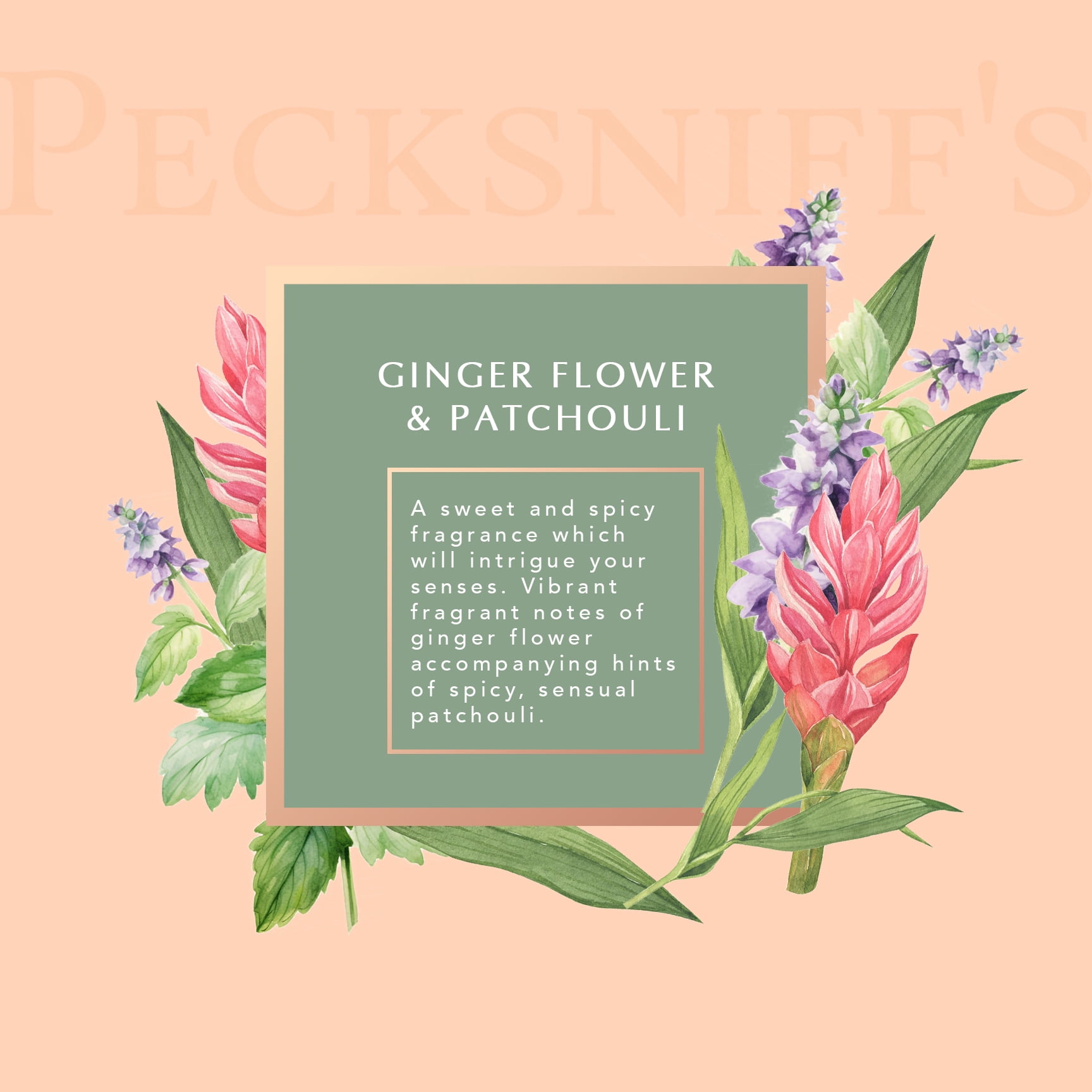 Pecksniff's Ginger Flower & Patchouli Scented Moisturizing Hand Wash Refill | 1 L/1000 ml, 33.8 fl oz