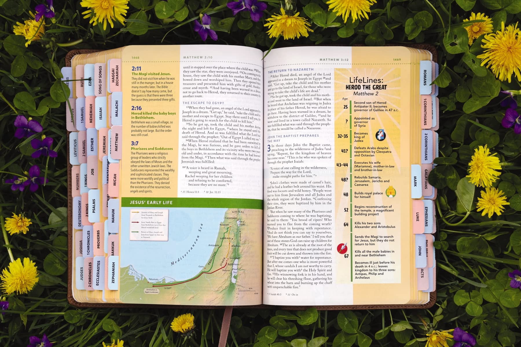 Niv, Kids' Visual Study Bible, Leathersoft, Bronze, Full Color Interior, Peel/Stick Bible Tabs: Explore the Story of the, (Hardcover)