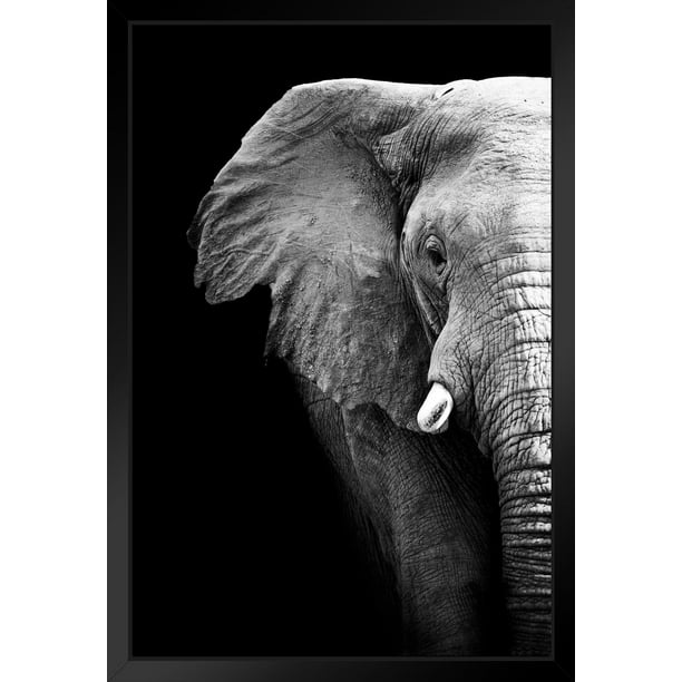 Black and White Elephant Partial Monochrome Art African Elephant Wall Art Elephant Posters For