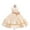 Champagne, variant on Girls Elegant Sleeveless Tulle Flower Girl Dress with Bow Princess Birthday Party Wedding Formal Gown for Kids Children
