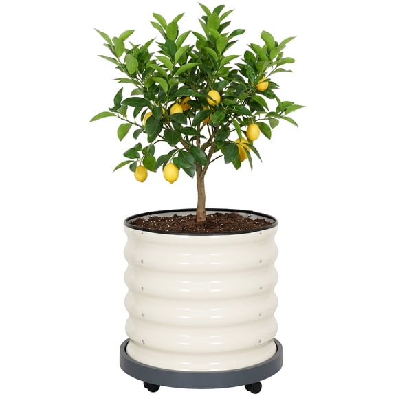 TECANA White 20''X19''X19'' Rolling Planter Pot, Cylindrical Raised Planter Box with Mobile Wheels for Trees Plants