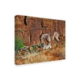 thumbnail image 2 of Trademark Fine Art 'Running Horses I' Canvas Art by David Drost, 2 of 4