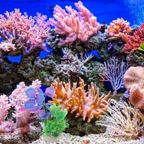 HEANUJJ Artificial Plants for Aquarium Assorted Color 9Pcs