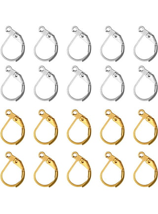 DICOSMETIC 40Pcs 2 Styles Lever Back Earring Findings Goldan and Silver  Leverback Earwire Circle Earring Hooks Brass Leverback Earrings for DIY