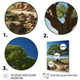 thumbnail image 3 of Designart "Splendid African Green Tree" Floral & Botanical Floater Framed Canvas Print, 3 of 7