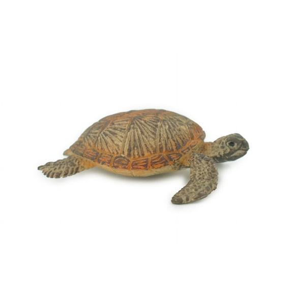 Turtle, Green Sea Turtle, Museum Quality, Hand Painted, Rubber Reptile, Realistic Toy Figure, Model, Replica, Kids, Educational, Gift, 3" CH593 BB164
