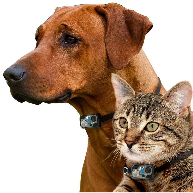 Power Pet Electronic Dog Door High Tech Pet Electronic Pet Doors