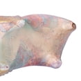 thumbnail image 4 of Escultura de toro, estatua de buey de decoración de arte para el hogar, 2 piezas para estanterías de escritorio de computadora Unbranded 1214210005511, 4 of 8