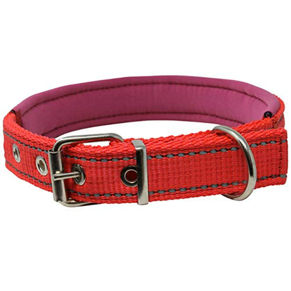 Soft Neoprene Padded Adjustable Reflective 1" Wide Classic Dog Collar