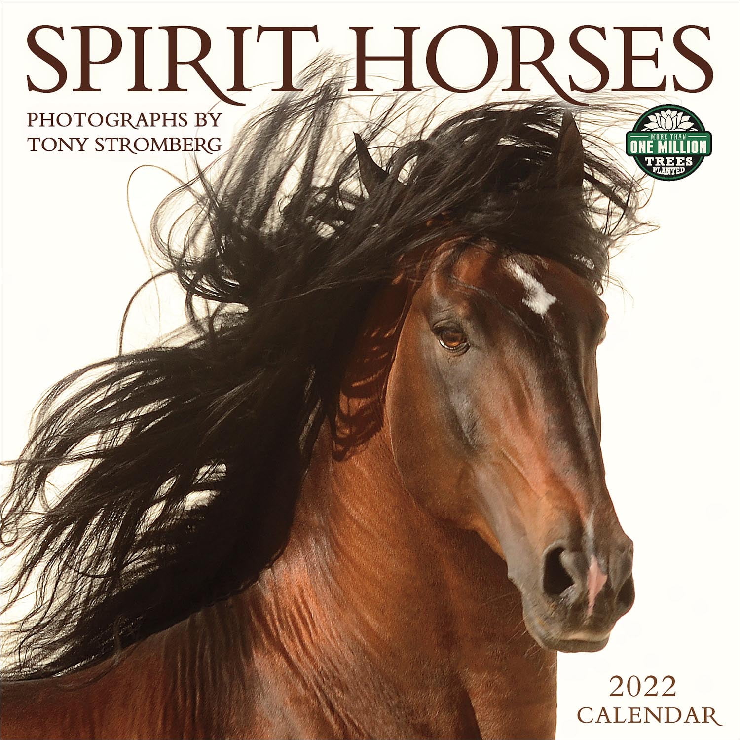Amber Lotus Publishing - Spirit Horses 2022 Wall Calendar